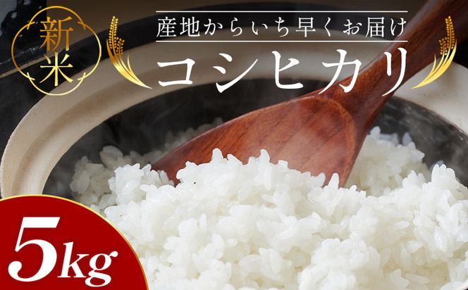 新米コシヒカリ 5kg - 新米 お米 おこめ 国産 米 精米 ひのひかり ごはん 白米 ご飯 おにぎり おむすび 料理 調理 防災 非常食 備蓄 高知県 香南市 常温 at-0046