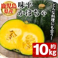 ＜先行予約受付中！2025年5月以降発送予定＞鹿児島県産 味平かぼちゃ(約10kg) 国産 野菜 かぼちゃ カボチャ 南瓜 煮物 天ぷら バーベキュー BBQ スイーツ お菓子【松永青果】a-28-9-z