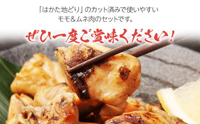 はかた地どり モモ・ムネ肉 合計500g 塩胡椒付【化粧箱入】焼き鳥、焼き肉、すき焼き用