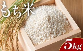 もち米 5kg - 国産 餅 モチ  もちもち おもち おこわ おはぎ ぼたもち お雑煮 赤飯 米 お米 アレンジ 調理 高知県 香南市 常温 at-0037