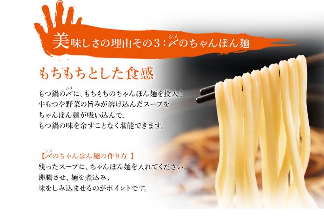 もつ鍋 【九州名物とめ手羽】 博多もつ鍋 セット 5~6人前 九州しょうゆ味 モツ鍋 国産牛 / フェリックス / 福岡県 筑紫野市 [21760208]
