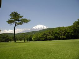 C20富士小山Ｇ・Ｃプレー利用券　１枚