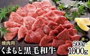 牛肉 くまもと黒毛和牛 焼肉用 500g 1000g 肉 黒毛和牛 焼肉 長洲501《30日以内に出荷予定(土日祝除く)》---sn_f501kwyk_30d_24_17500_500g---