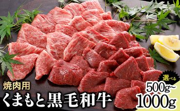 牛肉 くまもと黒毛和牛 焼肉用 500g 1000g 肉 黒毛和牛 焼肉 長洲501[30日以内に出荷予定(土日祝除く)]---sn_f501kwyk_30d_24_17500_500g---