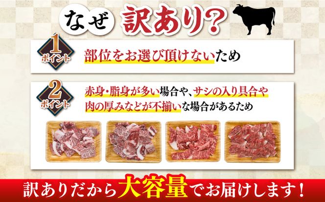 【訳あり】博多和牛 焼肉 切り落とし1kg（500g×2p）《築上町》【MEAT PLUS】肉 お肉 牛肉[ABBP120]