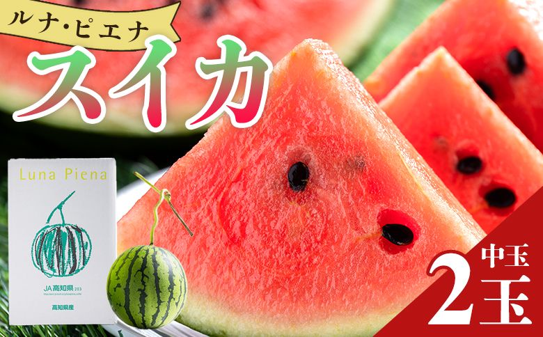 空中立体栽培で太陽の愛情をたっぷり受けた ルナ・ピエナスイカ(中玉) 2玉 -「今夜はナゾトレ」に取り上げられました すいか 果物 くだもの フルーツ 赤肉 赤玉 2個 ジューシー yu-0016