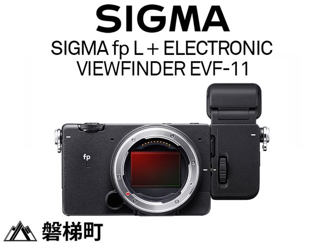 SIGMA fp L + ELECTRONIC VIEWFINDER EVF-11