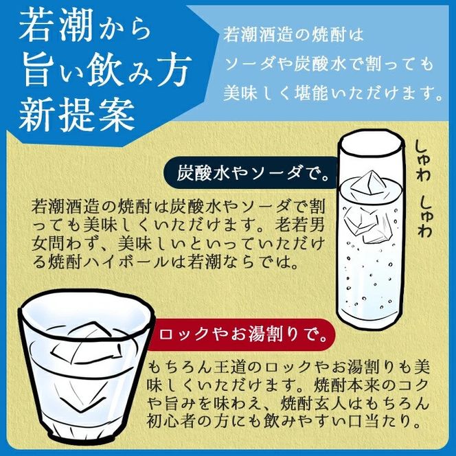 志布志　25度・プレミアムブルー20度　計４本 「ザ・ファブル」に掲載！ a5－０７３