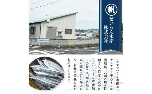 鹿児島県産！あくねキビナゴづくし(3種)生きびなご、一夜干し、刺身をセットに冷凍でお届け！魚介類 海鮮 海の幸 きびなご キビナゴ 刺し身 さしみ 一夜干し【マルホせいうん水産】akn046-03