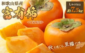 ◆先行予約◆和歌山県産 富有柿＜ご家庭用＞約7.5kg 満杯詰め［2026年11月上旬以降発送］［九度山町産］［MG2］ 303446_AB04