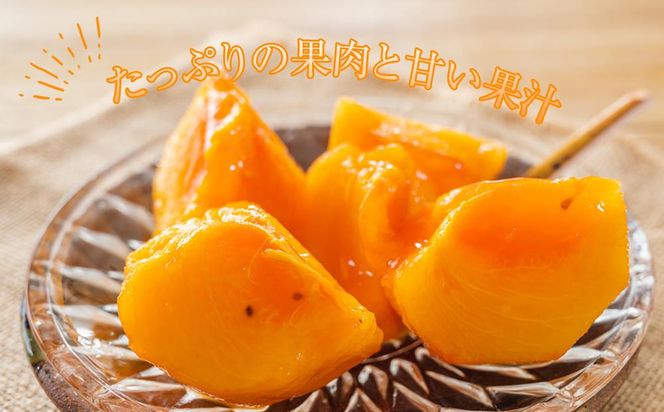 ◆先行予約◆和歌山県産 富有柿＜ご家庭用＞約7.5kg 満杯詰め［2026年11月上旬以降発送］［九度山町産］［MG2］ 303446_AB04
