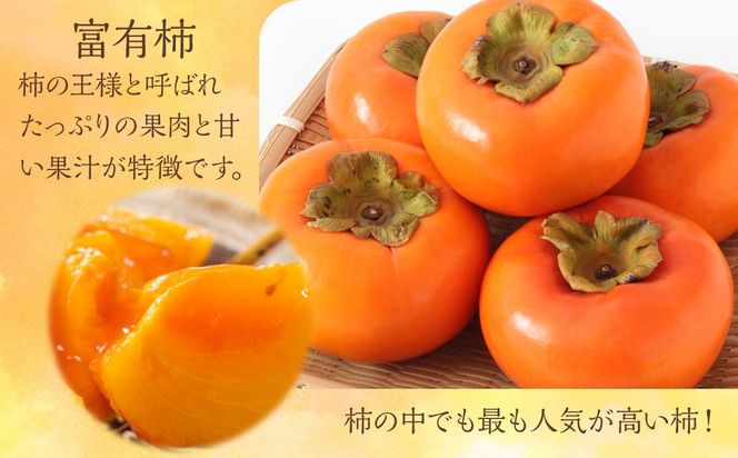 ◆先行予約◆和歌山県産 富有柿＜ご家庭用＞約7.5kg 満杯詰め［2026年11月上旬以降発送］［九度山町産］［MG2］ 303446_AB04