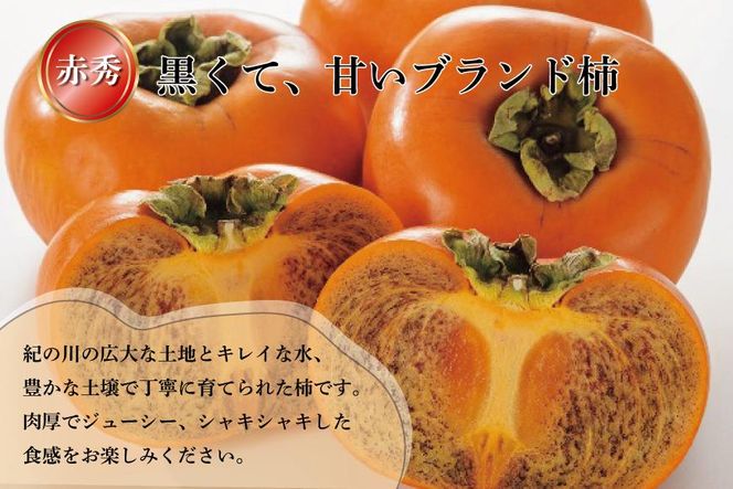 ◆先行予約◆和歌山県産 紀の川柿＜贈答用／赤秀＞ 8～13玉【2024年10月中旬発送】【九度山町産】【MG1】 303446_AB71