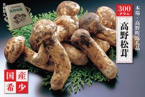 ［2026年発送分］香り・歯応え・味ともに最高級！希少な国産松茸「高野松茸」300g［化粧箱入］［MG93］ 303446_AB76