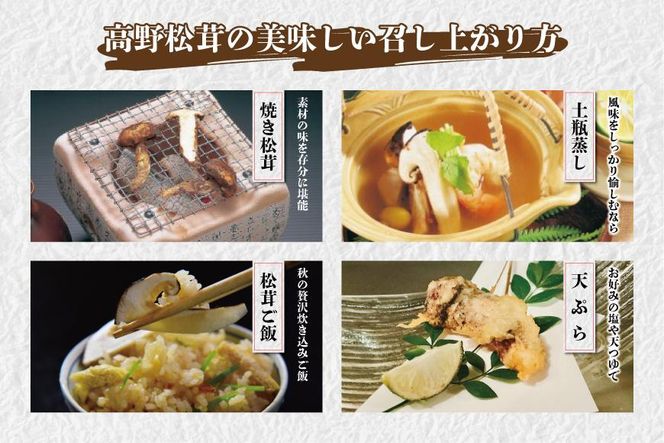 ［2026年発送分］香り・歯応え・味ともに最高級！希少な国産松茸「高野松茸」300g［化粧箱入］［MG93］ 303446_AB76