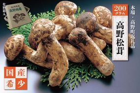 ［2026年発送分］香り・歯応え・味ともに最高級！希少な国産松茸「高野松茸」200g［化粧箱入］［MG92］ 303446_AB77