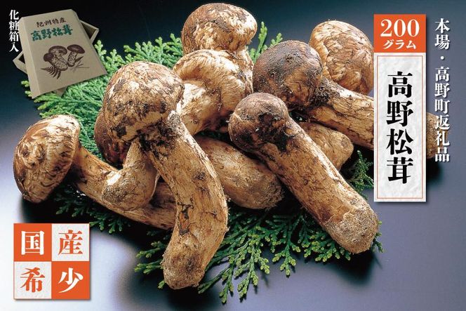 ［2026年発送分］香り・歯応え・味ともに最高級！希少な国産松茸「高野松茸」200g［化粧箱入］［MG92］ 303446_AB77