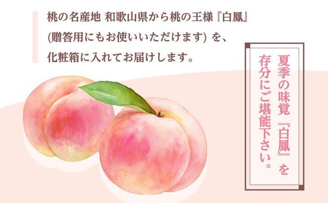 和歌山県産 白鳳 桃 5～8玉入り 秀品 先行予約【2025年6月下旬以降発送】【MG6】 303446_AB96009