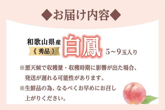 和歌山県産 白鳳 桃 5～8玉入り 秀品 先行予約【2025年6月下旬以降発送】【MG6】 303446_AB96009