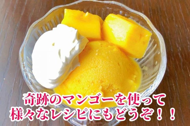 ◆先行予約◆和歌山県産　紀州完熟マンゴー『吉玉』2玉入り［2026年7月下旬から8月下旬頃順次発送予定］［MG19］ 303446_AB96010