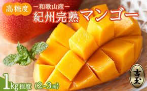 ◆先行予約◆和歌山県産　紀州完熟マンゴー『吉玉』約1kg程度／2～3玉入り［2026年7月下旬から8月下旬頃順次発送予定］［MG20］ 303446_AB96011