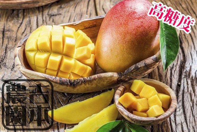 ◆先行予約◆和歌山県産　紀州完熟マンゴー『吉玉』約1kg程度／2～3玉入り［2026年7月下旬から8月下旬頃順次発送予定］［MG20］ 303446_AB96011