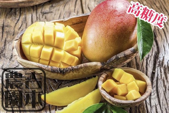 ◆先行予約◆和歌山県産　紀州完熟マンゴー『吉玉』1玉入り［2026年7月下旬から8月下旬頃順次発送予定］［MG21］ 303446_AB96063