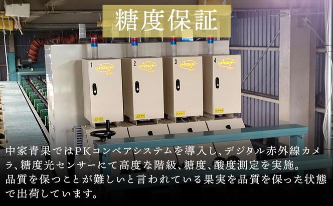 和歌山県産 糖度 12.5度以上 訳あり みかん 3kg 3Ｓ～Ｌサイズ混合［MG56］ 303446_AB96091