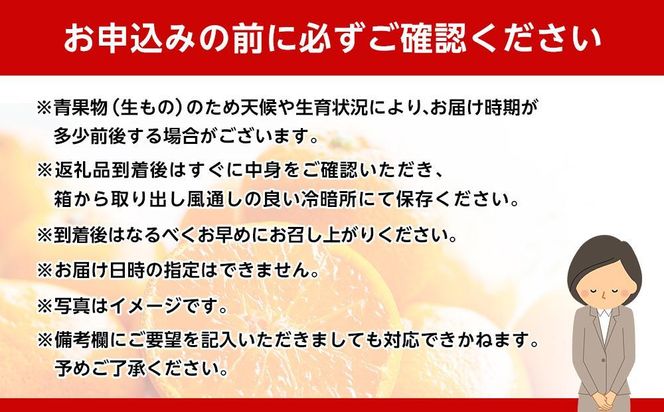 和歌山県産 糖度 12.5度以上 秀品 贈答用 みかん 3kg 2S・S サイズ混合 【MG54】 303446_AB96129