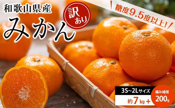 和歌山県産 糖度9.5度 以上 訳あり みかん 7kg 傷み補償+200g 3S ～ 2Ｌサイズ混合【MG58】 303446_AB96140