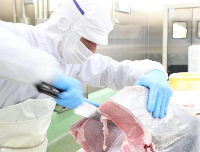 プレミア和歌山認証品 本マグロ（養殖）トロ＆赤身セット　500g［年末発送（12月25日から30日発送）］［KS12］ 303446_BA1007