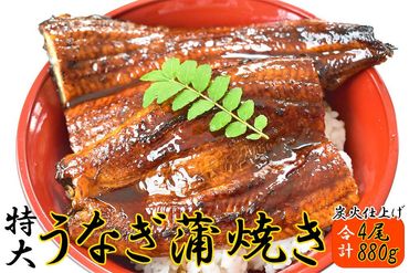 うなぎ蒲焼き4尾入り 880g（蒲焼たれ8袋 山椒付き）【KS9】 303446_BA1019