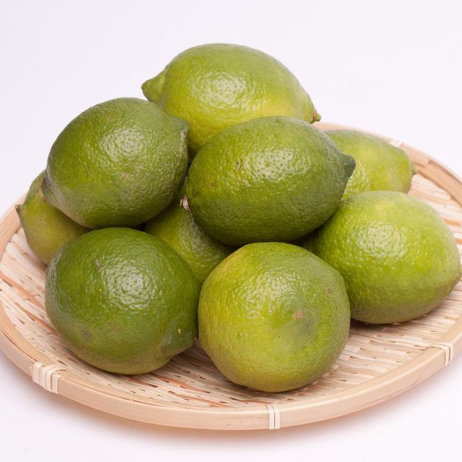 レモン1kg+250g（傷み補償分）［和歌山有田産］［防腐剤・WAX不使用、安心の国産レモン］［IKE128］ 303446_BB001