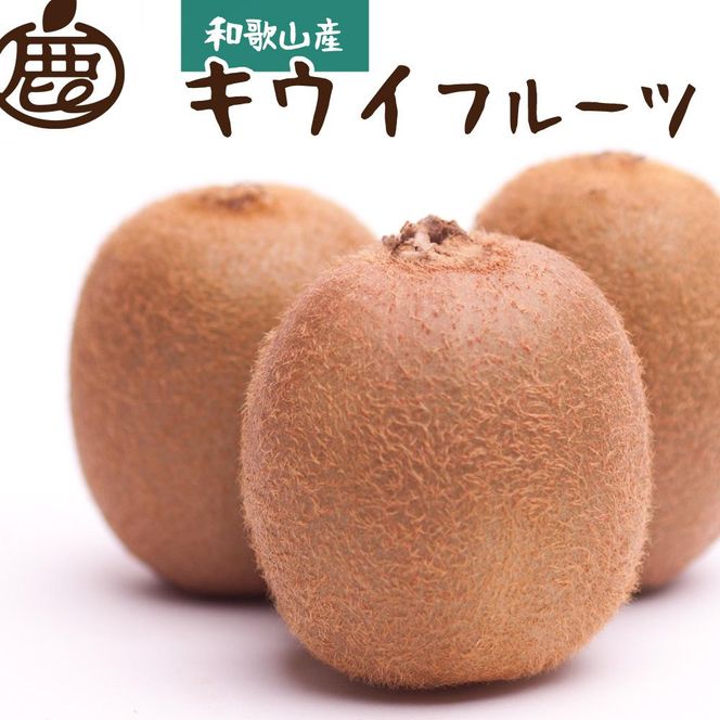 ［先行予約］厳選 キウイ2.5kg+250g（傷み補償分）【扁平果】［IKE107］ 303446_BB004