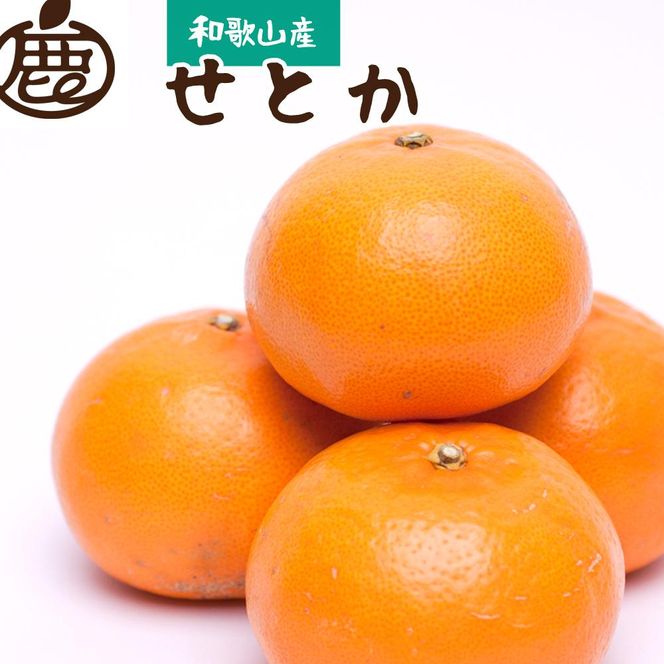 ［先行予約］厳選 せとか1kg+250g（傷み補償分）［柑橘・春みかんの王様］［光センサー選果・食べ頃出荷］［IKE60］ 303446_BB015