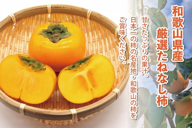 ［先行予約］厳選 たねなし柿 約2.5kg［刀根早生・平核無柿（ひらたねなしかき）］［カキ・種無柿・種無し柿・種なし柿・無核柿］［IKE95］ 303446_BB90033