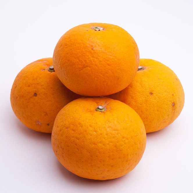 ［先行予約］厳選 甘夏柑5kg+250g（傷み補償分）［初夏のみかん・旬の果物］［有田産］［光センサー食べ頃出荷］［IKE72］ 303446_BB90038