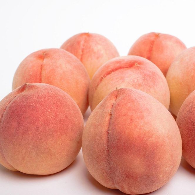 ［先行予約］和歌山の厳選白桃 約1.5kg［白鳳・清水白桃・川中島・もも・はくとう］［化粧箱入り］［IKE16］ 303446_BB90152