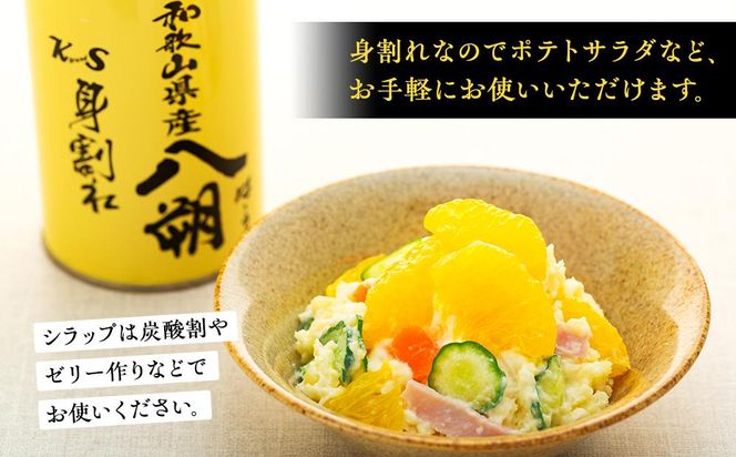 和歌山県産八朔缶詰（身割れ）425ｇ×12缶セット【入金確定後より7営業日以内に発送予定】【KF7】 303446_BE225