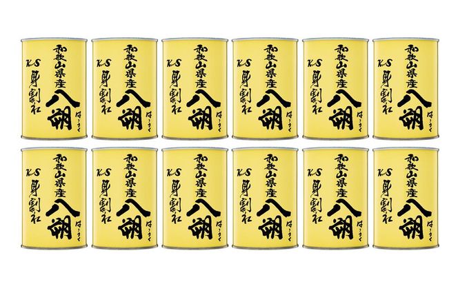 和歌山県産八朔缶詰（身割れ）425ｇ×12缶セット【入金確定後より7営業日以内に発送予定】【KF7】 303446_BE225