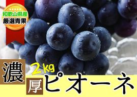 【甘さとみずみずしさが自慢】種なしピオーネ＜ぶどう約２kg＞★8月下旬から9月中旬発送★【KF10】 303446_BE90004