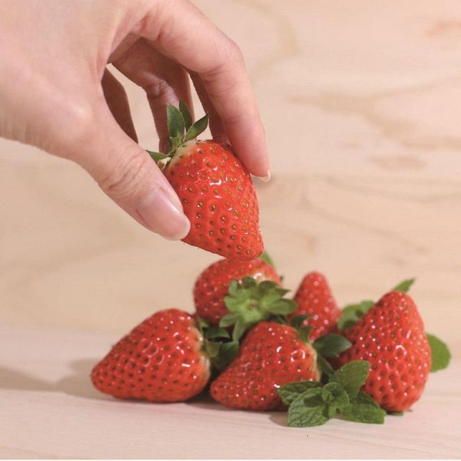 超特選☆いちご【まりひめ】2026年1月中旬から3月下旬まで発送【KF8】 303446_BE90007