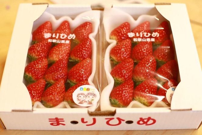 特選☆いちご【まりひめ】1月中旬から5月上旬まで発送【KF9】 303446_BE90008