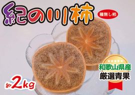 黒くて甘い 紀の川柿 2kg ★和歌山県オリジナル★［KF03］ 303446_BE90016