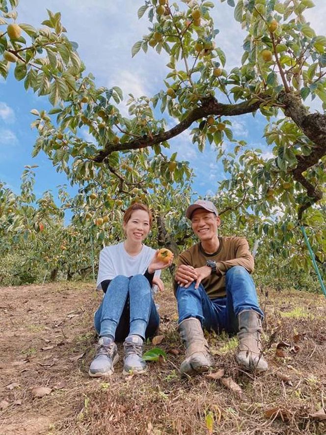 黒くて甘い 紀の川柿 2kg ★和歌山県オリジナル★［KF03］ 303446_BE90016