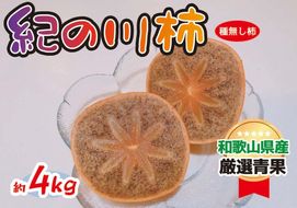 黒くて甘い 紀の川柿 4kg ★和歌山県オリジナル★［KF04］ 303446_BE90017