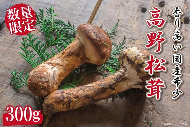 先行予約 国産松茸 約300g 数量限定 香り高く希少【和歌山県高野町産】【2026年9月下旬～11月上旬頃発送予定】 303446_BP001
