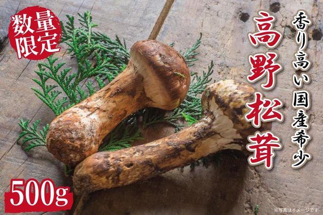 ya̎R쒬zs\ Y 500g ʌ 荂󏭁ya̎R쒬Yzy2026N9{`11{\z 303446_BP002