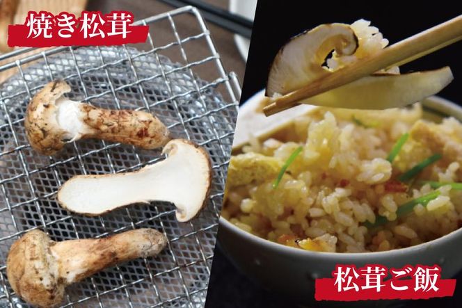 先行予約 国産松茸 約500g 数量限定 香り高く希少【和歌山県高野町産】【2026年9月下旬～11月上旬頃発送予定】 303446_BP002