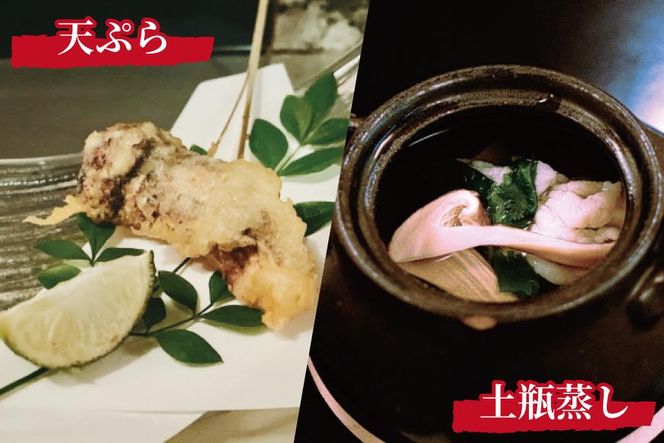 先行予約 国産松茸 約500g 数量限定 香り高く希少【和歌山県高野町産】【2026年9月下旬～11月上旬頃発送予定】 303446_BP002